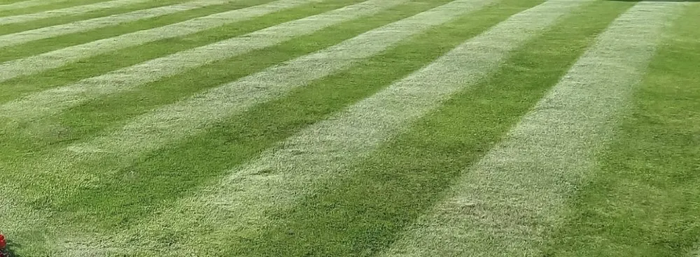 Affordable outdoor landscaping for homes across Fredericksburg, VA - Ky’s Lawn Care Services