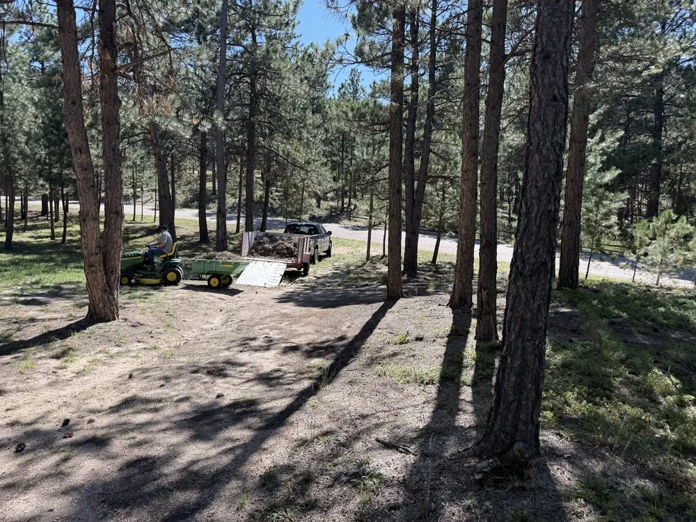 Expert lawn care service in Elbert, CO - KZ Construction And Landscaping
