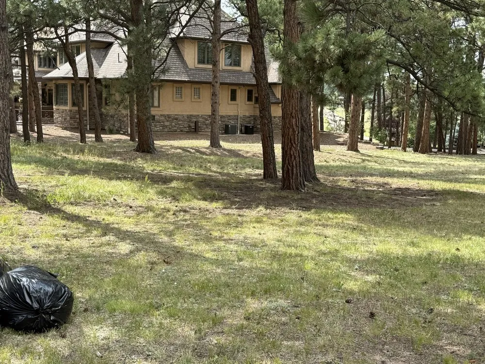 Local landscape design for year-round maintenance in Elbert, CO by KZ Construction And Landscaping