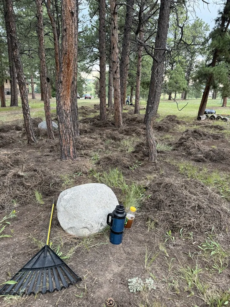 Top-rated yard cleanup service for outdoor upgrades in Elbert, CO by KZ Construction And Landscaping
