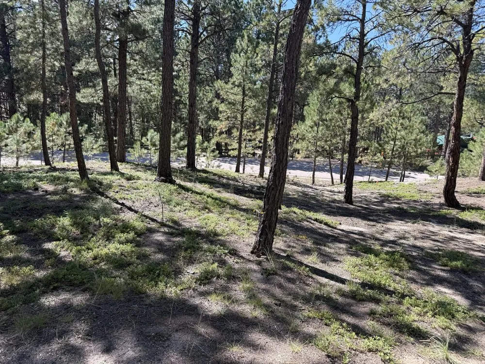Professional outdoor landscaping in Elbert, CO by KZ Construction And Landscaping