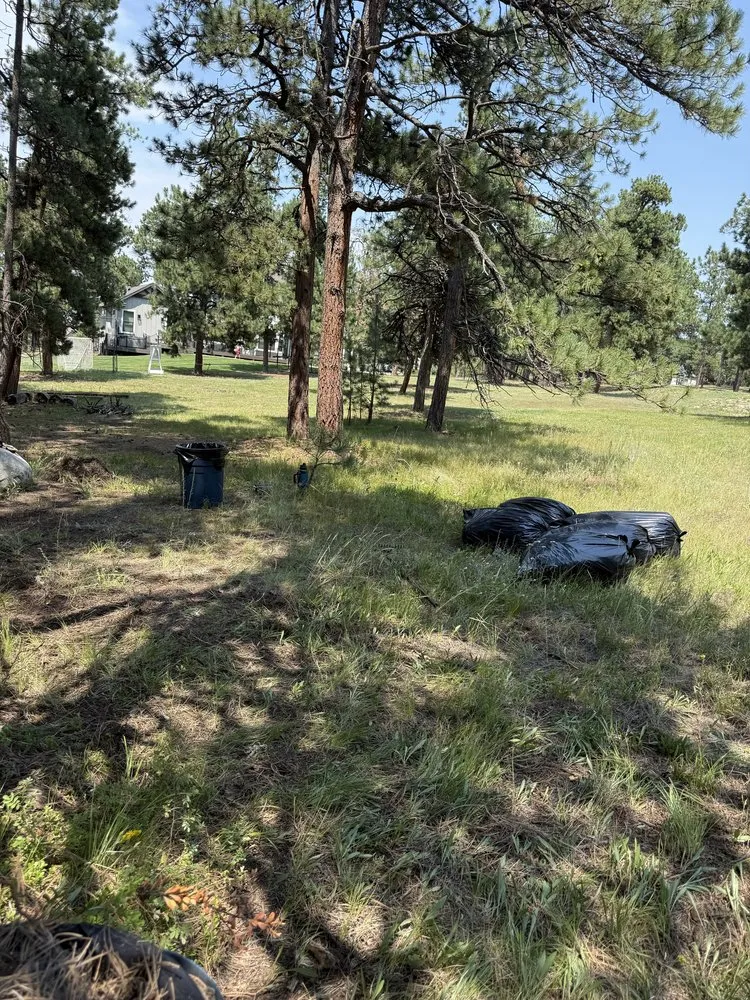 Reliable garden landscaping in Elbert, CO by KZ Construction And Landscaping
