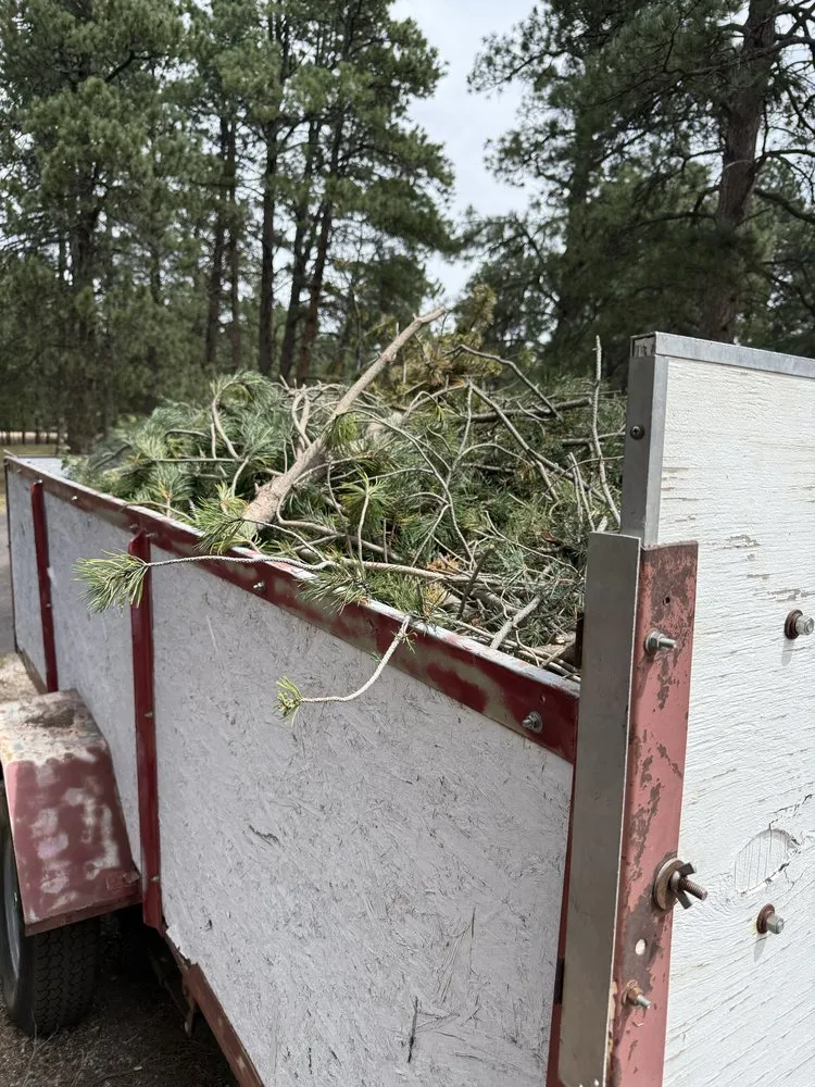 Expert yard cleanup service near you in Elbert, CO by KZ Construction And Landscaping