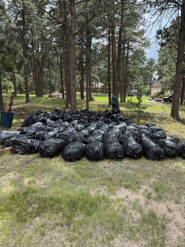 Reliable garden landscaping in Elbert, CO by KZ Construction And Landscaping