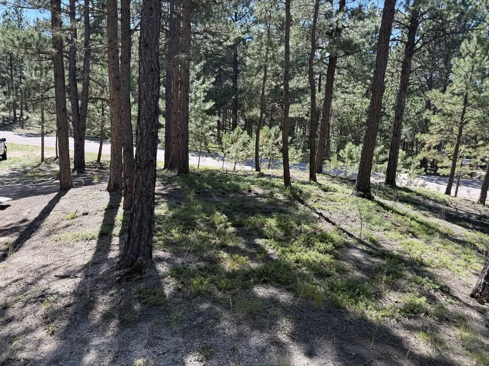 Affordable landscape installation experts serving Elbert, CO - KZ Construction And Landscaping