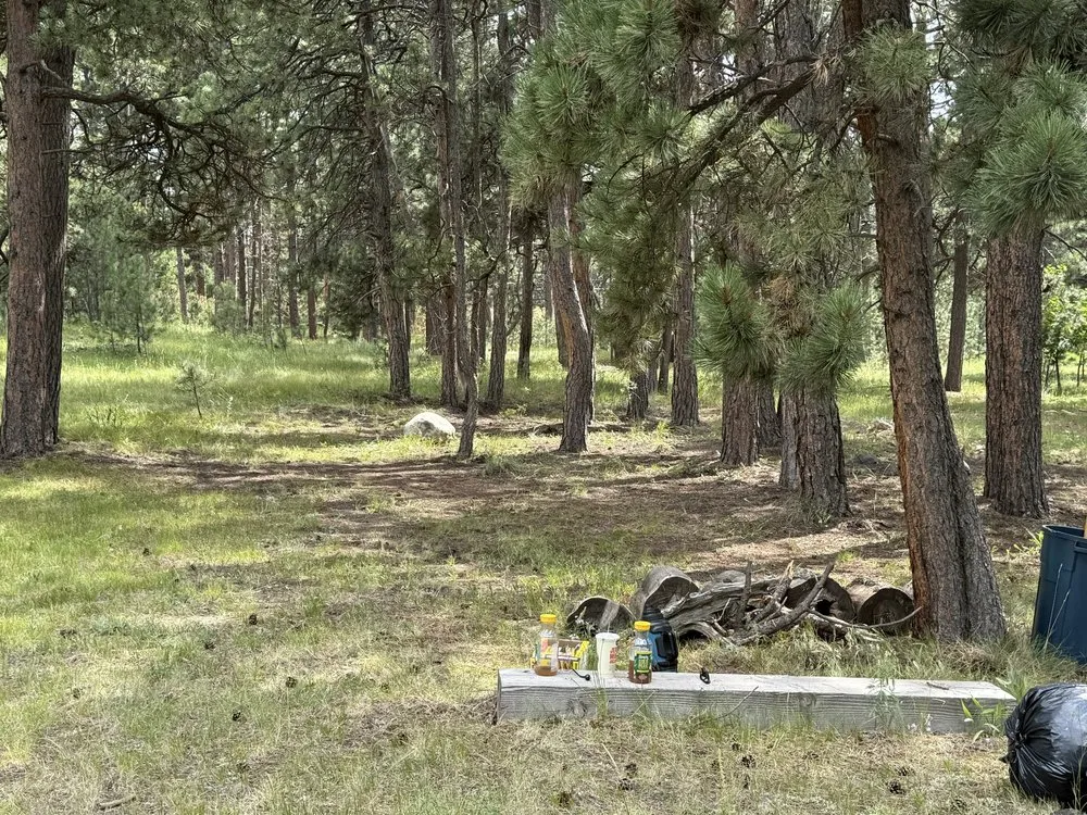 Expert yard maintenance experts serving Elbert, CO - KZ Construction And Landscaping