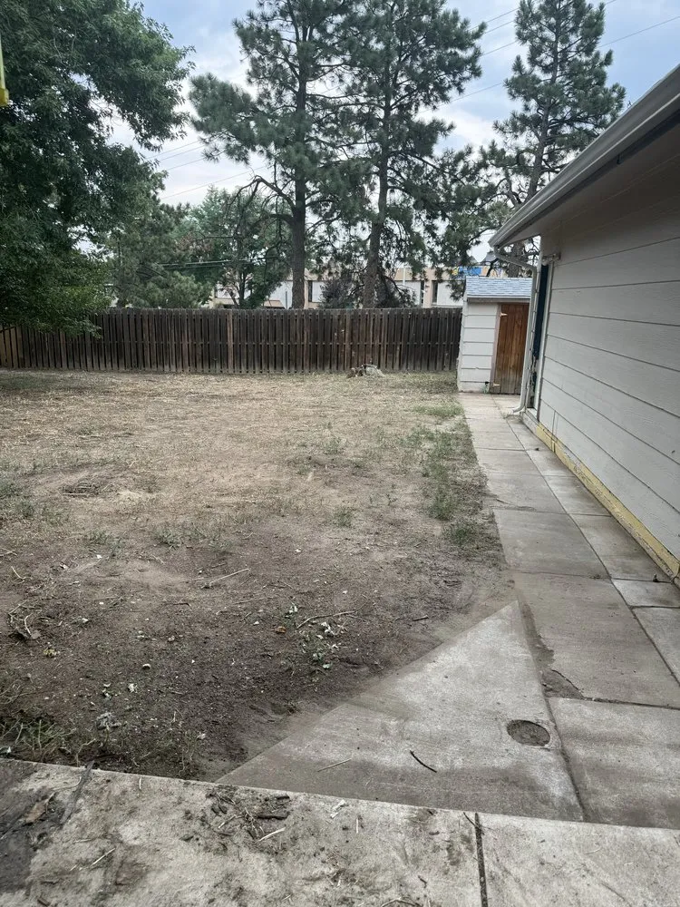 Expert lawn mowing service in Elbert, CO by KZ Construction And Landscaping