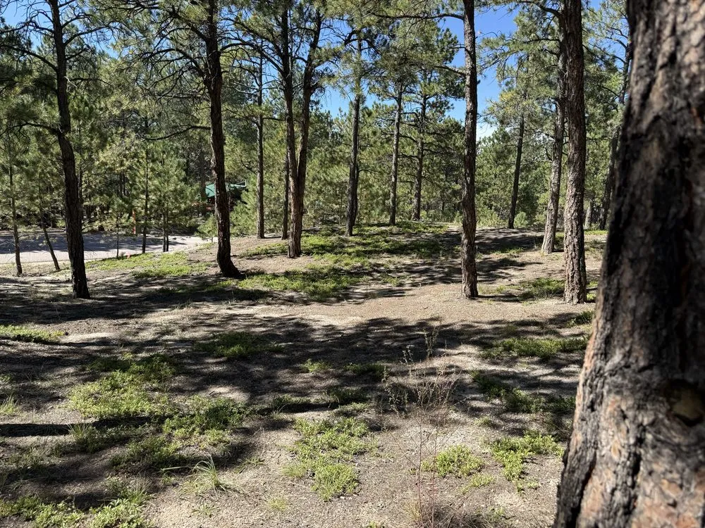 Custom landscape design in Elbert, CO by KZ Construction And Landscaping