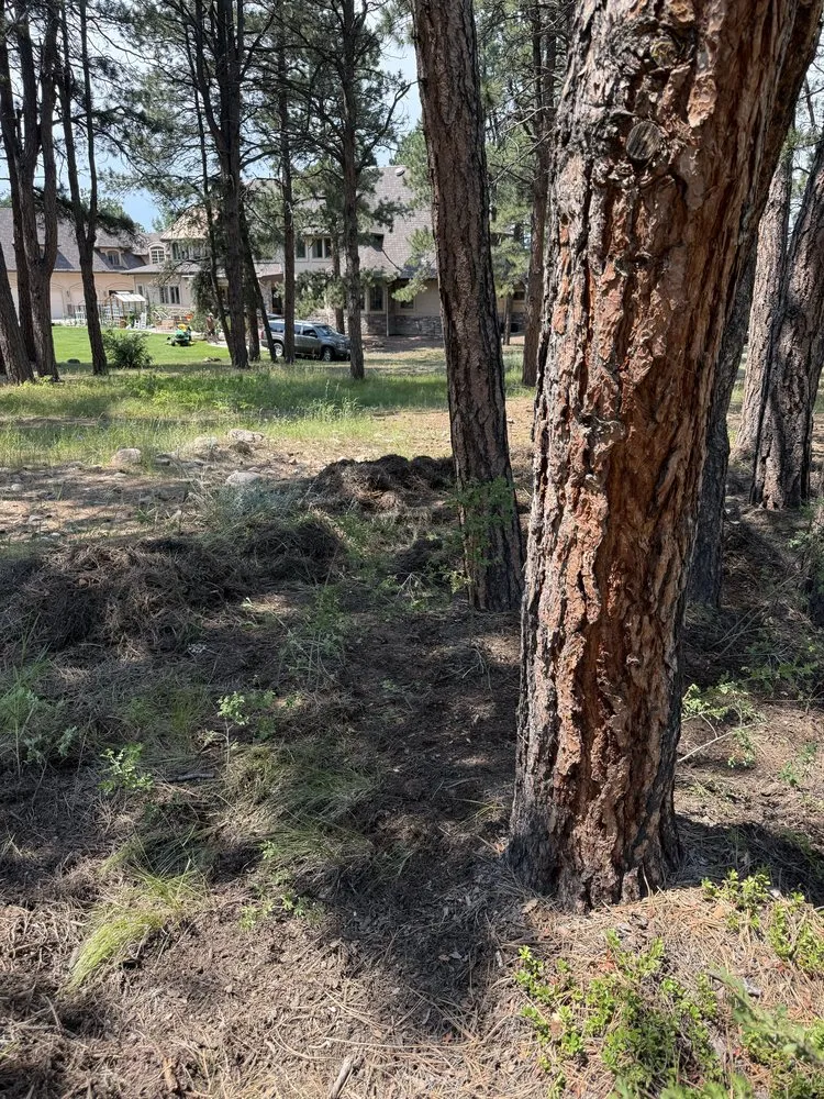 Expert landscape design for year-round maintenance in Elbert, CO by KZ Construction And Landscaping