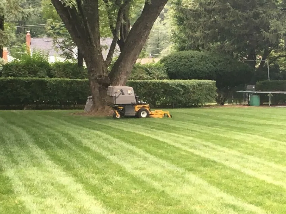 Affordable residential landscaping in Mount Olive Township, NJ - KZ Landscaping