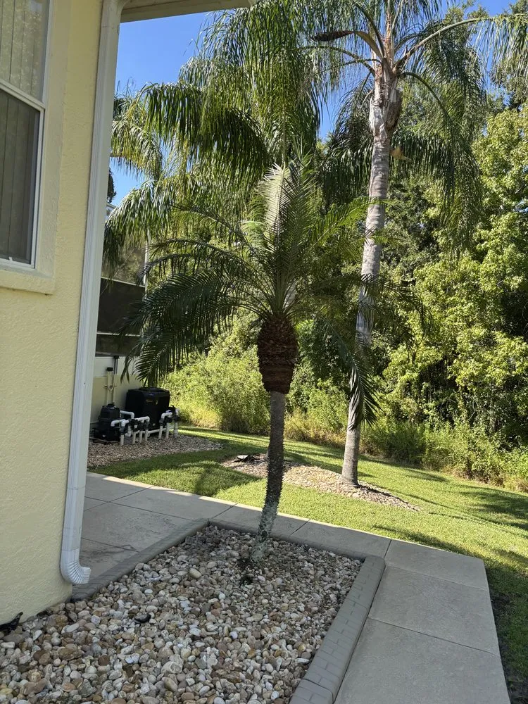 Top-rated outdoor landscaping in Lakeland, FL by Kz Property Solutions