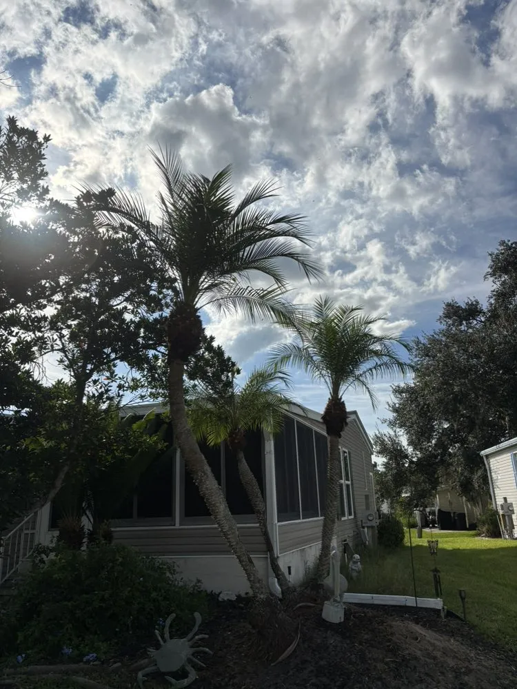 Local landscaping services experts serving Lakeland, FL - Kz Property Solutions