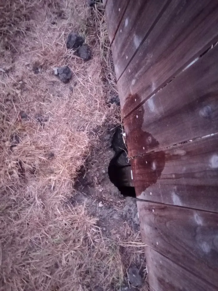 Reliable garden landscaping in Victoria, TX by KZB Services