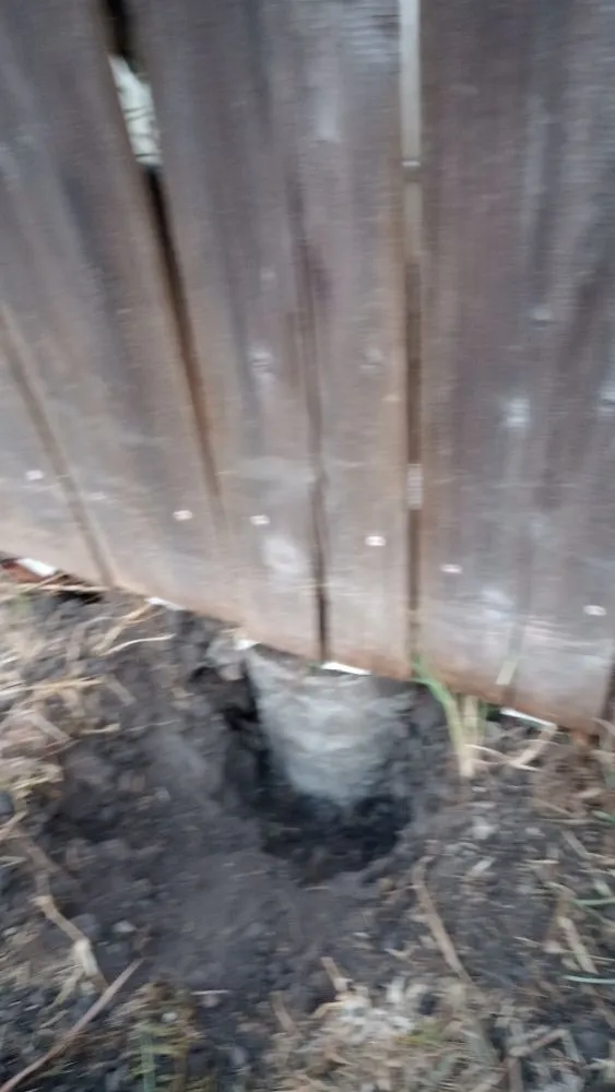 Reliable lawn care service near you in Victoria, TX by KZB Services