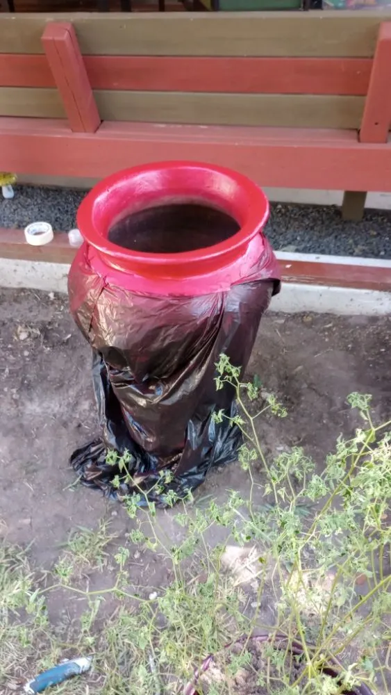 Trusted lawn care service experts serving Victoria, TX - KZB Services