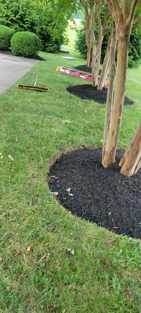 Professional landscaping services in Siler City, NC - L & A Landscaping Services