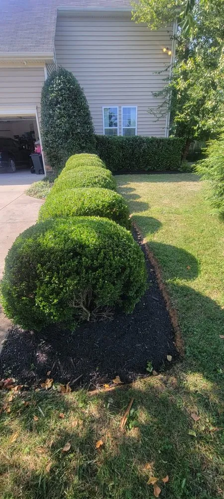Local residential landscaping in Siler City, NC by L & A Landscaping Services