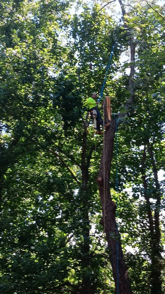 Affordable residential landscaping near you in Harrisonburg, VA by L & A Professional Tree Services