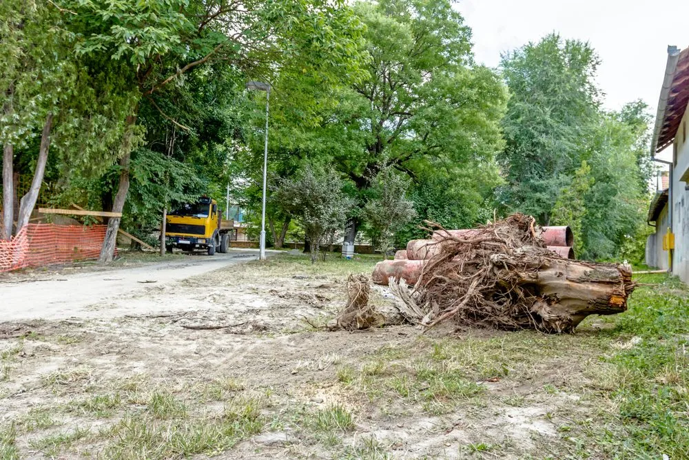 Top-rated garden landscaping for residential properties in Harrisonburg, VA by L & A Professional Tree Services