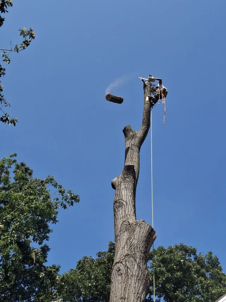 Reliable garden landscaping in Harrisonburg, VA - L & A Professional Tree Services