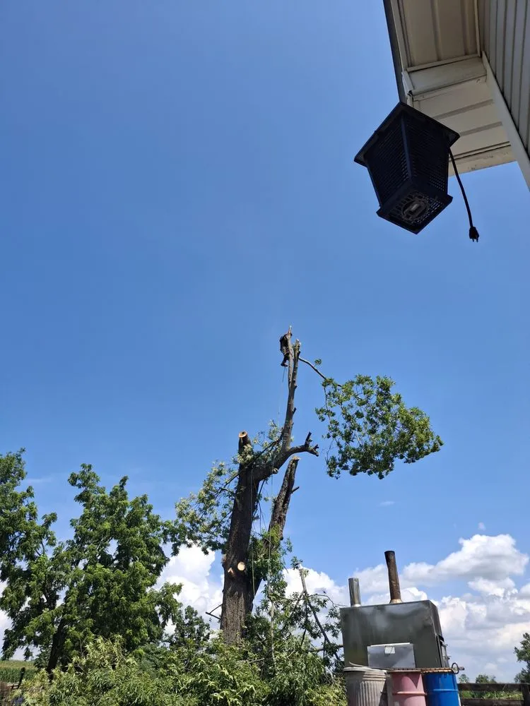 Custom residential landscaping in Harrisonburg, VA by L & A Professional Tree Services