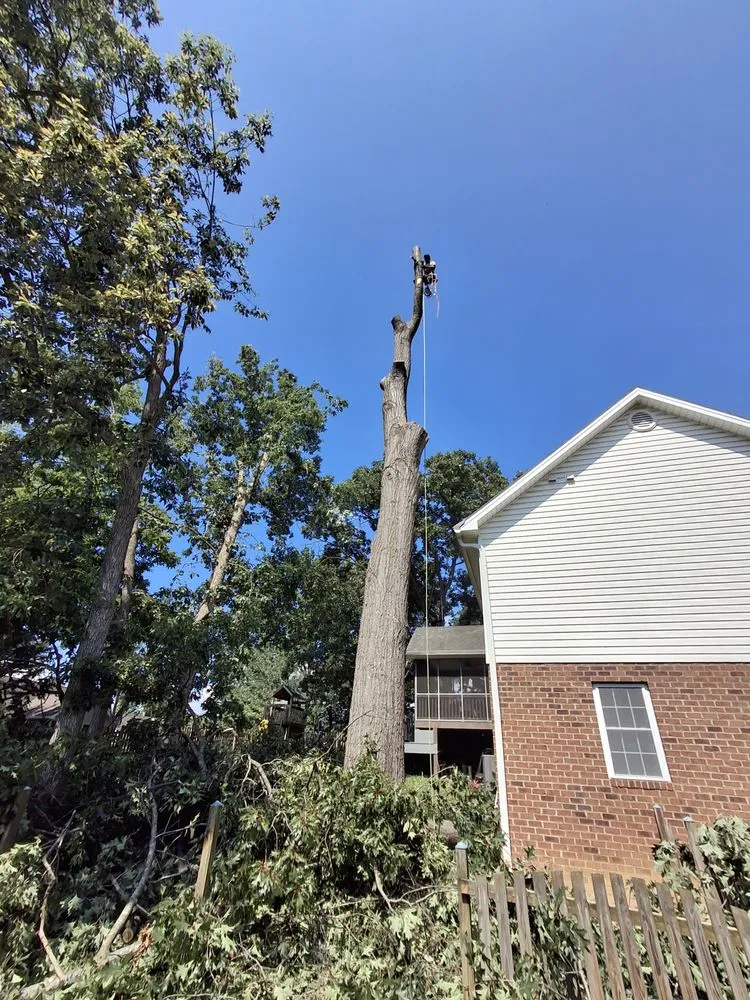 Custom garden landscaping experts serving Harrisonburg, VA - L & A Professional Tree Services