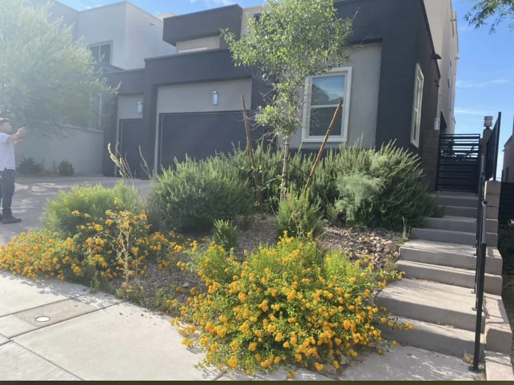 Custom yard maintenance in Atlanta, GA - L & A Tree & Garden