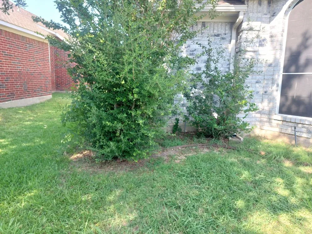 Top-rated lawn mowing service experts serving Atlanta, GA - L & A Tree & Garden