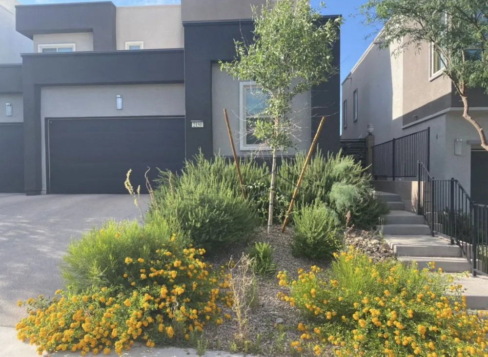 Top-rated yard cleanup service experts serving Atlanta, GA - L & A Tree & Garden