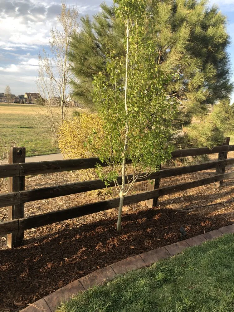 Local garden landscaping for homes across Aurora, CO - L & B's Concrete