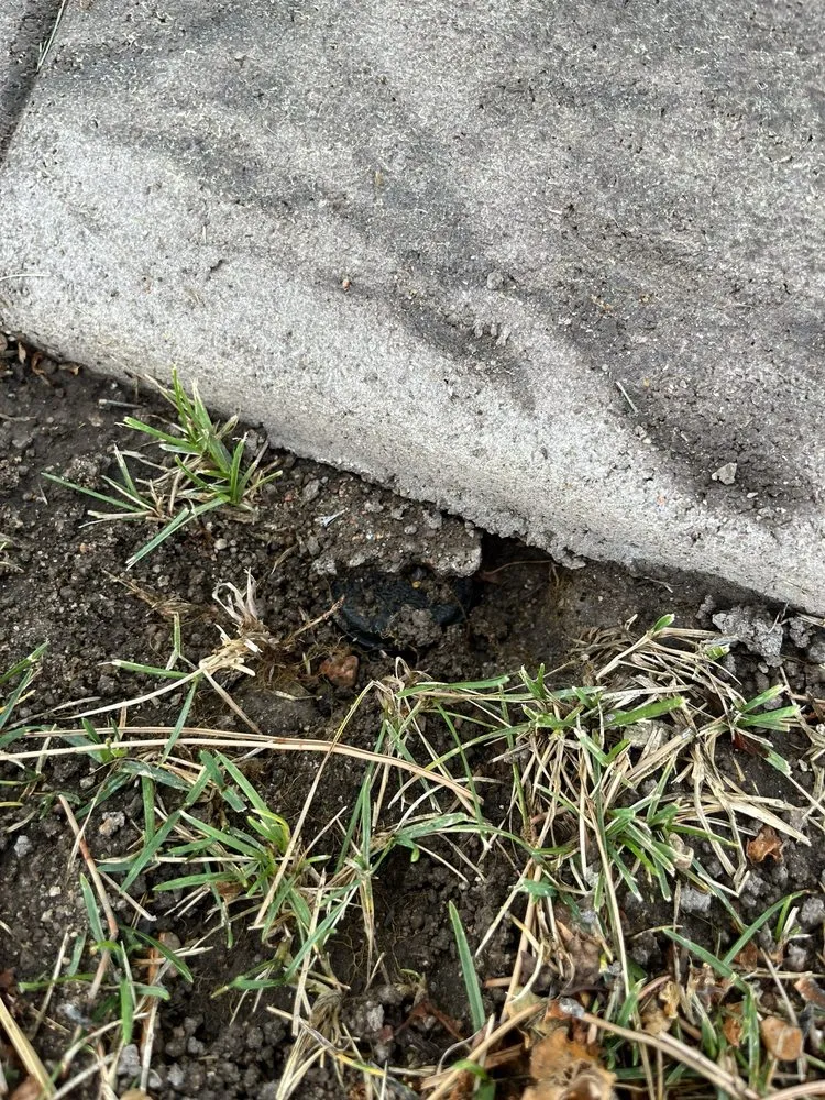 Reliable landscape design experts serving Aurora, CO - L & B's Concrete