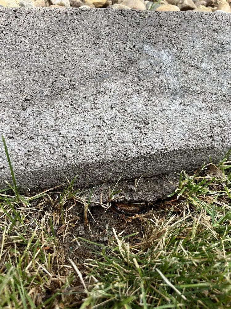 Reliable lawn mowing service in Aurora, CO - L & B's Concrete