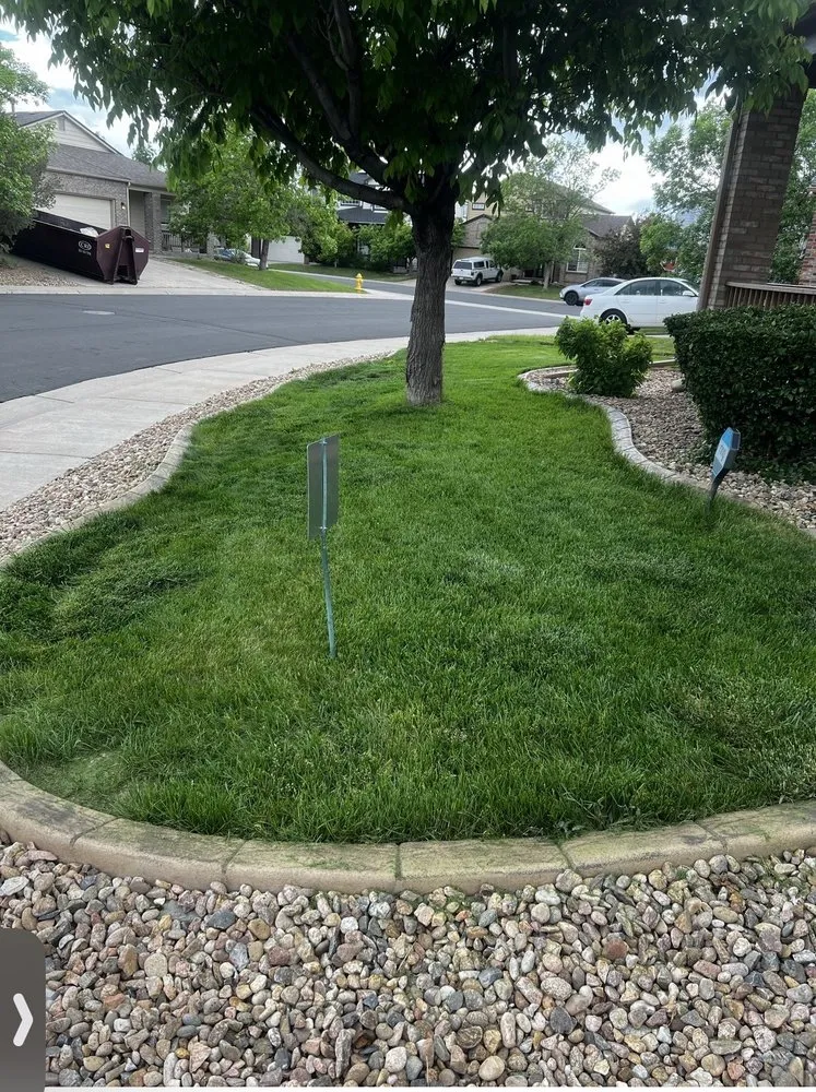 Professional outdoor landscaping for beautiful yards across Aurora, CO - L & B's Concrete