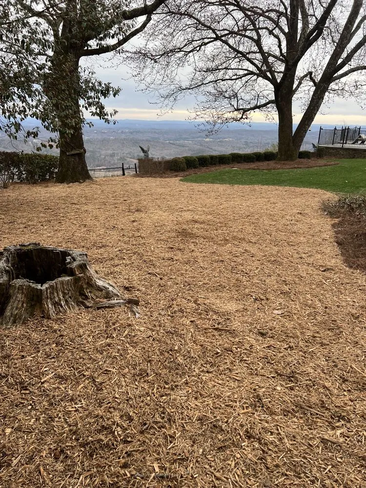 Professional yard cleanup service experts serving Chattanooga, TN - L & C Lawncare