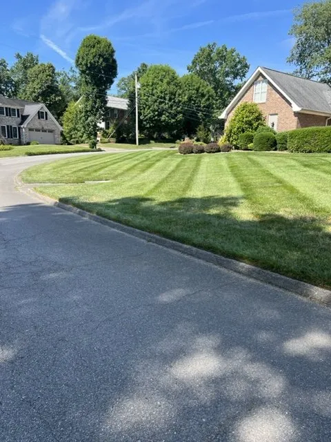 Trusted yard cleanup service experts serving Chattanooga, TN - L & C Lawncare