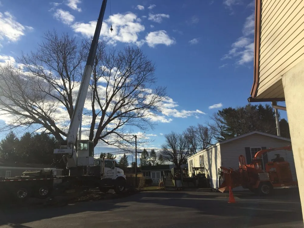 Reliable landscape design for outdoor upgrades across Malvern, PA - L & C Tree Services