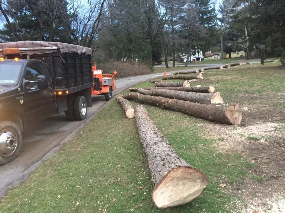 Professional landscaping services experts serving Malvern, PA - L & C Tree Services