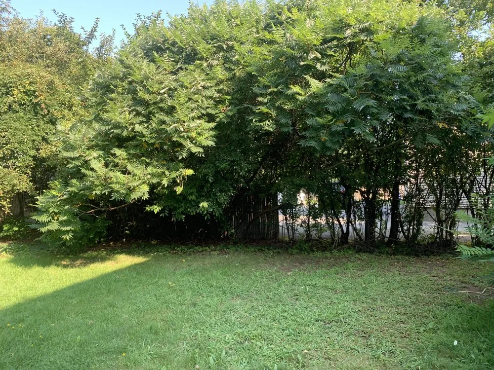 Local garden landscaping in Abington, MA - L & D Landscaping