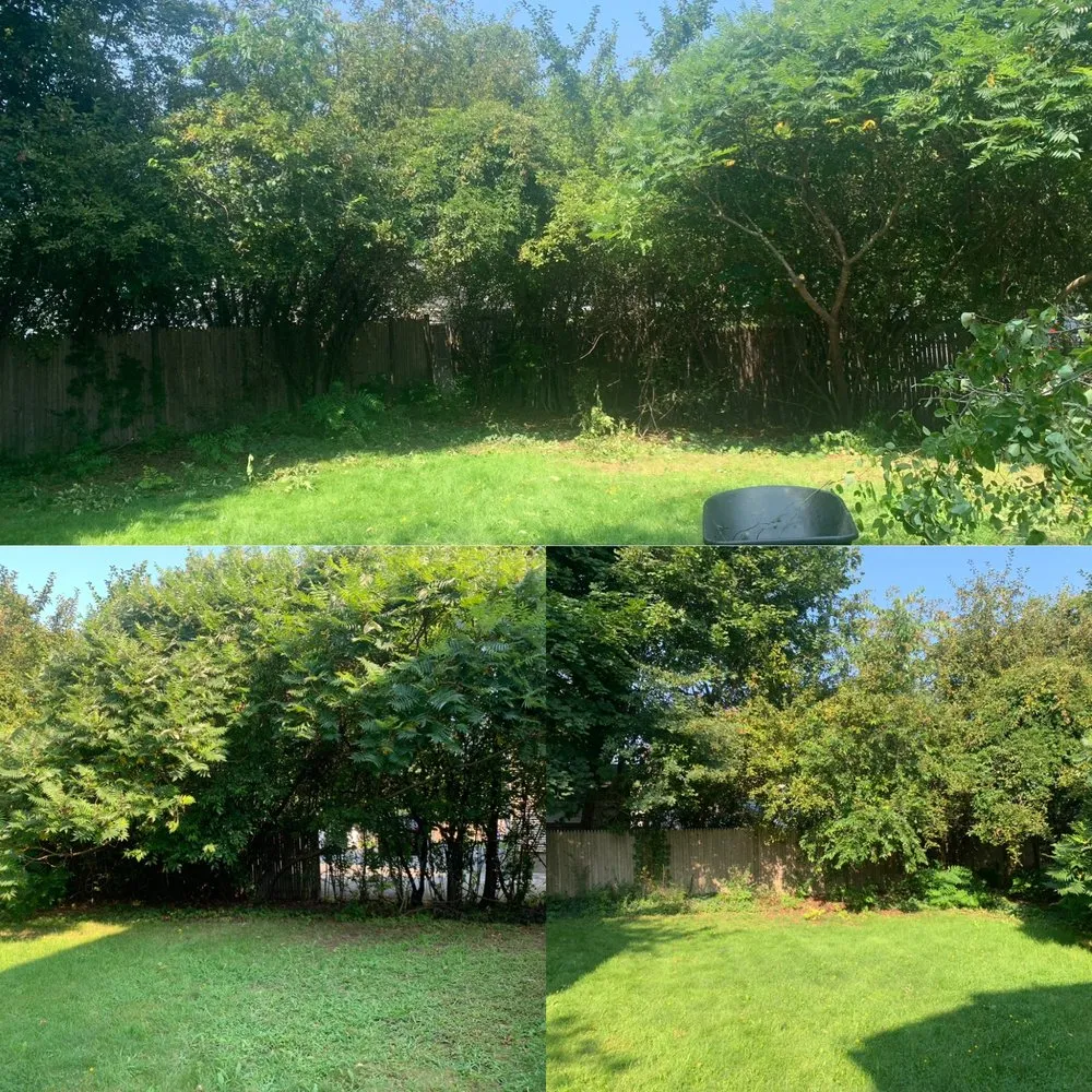 Reliable landscape design in Abington, MA - L & D Landscaping