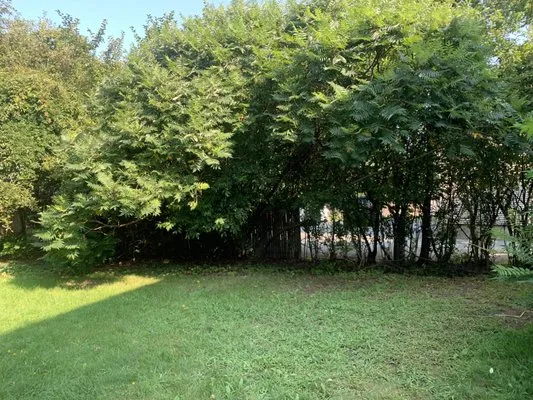 L & D Landscaping Logo