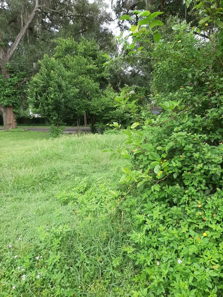 Local lawn care service in Gibsonton, FL - L & E Lawn Care