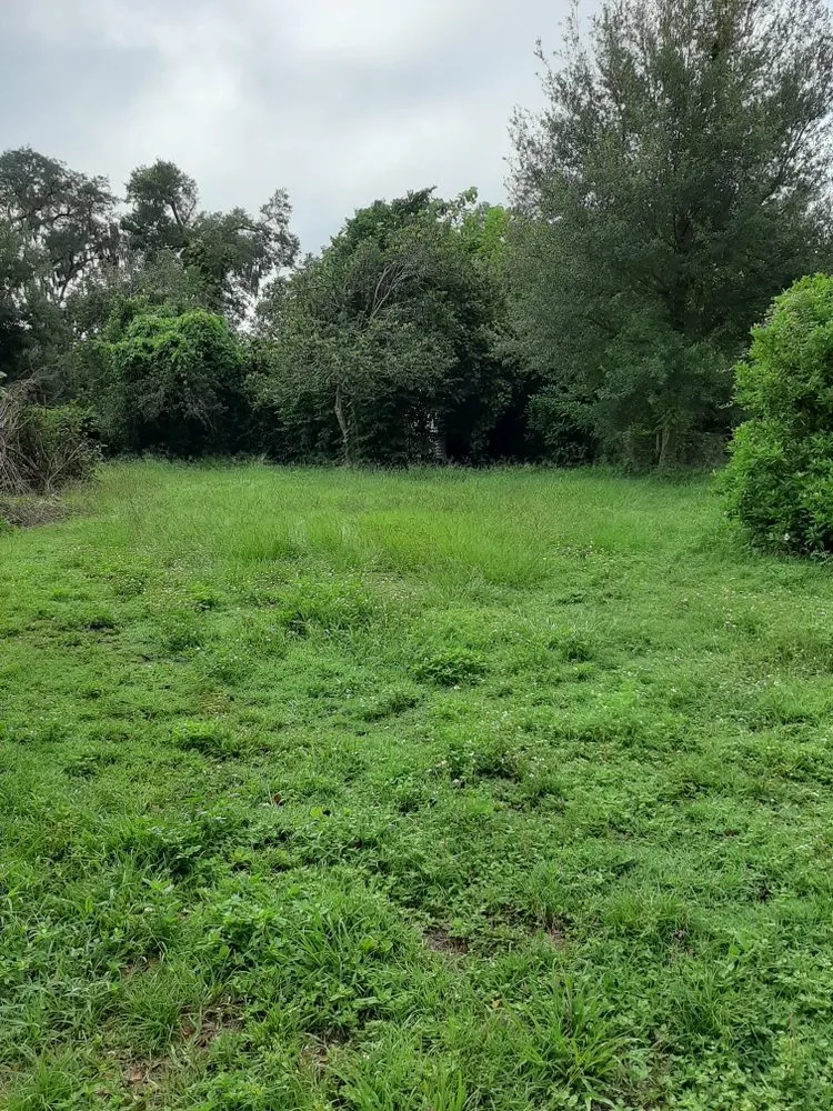 Expert landscape design in Gibsonton, FL - L & E Lawn Care