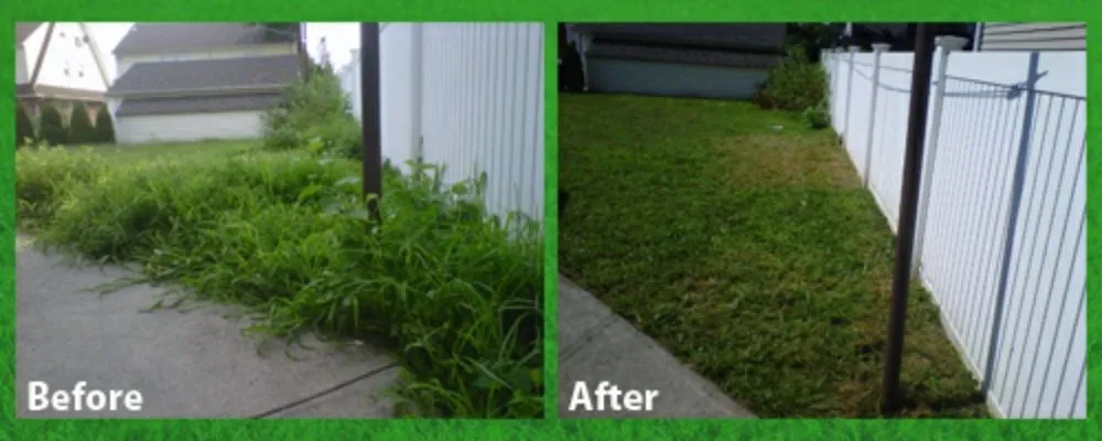 Reliable garden landscaping experts serving Gibsonton, FL - L & E Lawn Care