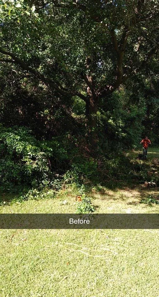Affordable landscaping services for outdoor upgrades in Augusta, SC by L & F Lawncare And More