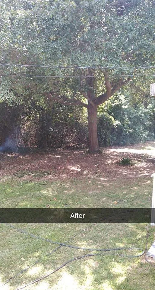 Top-rated yard maintenance in Augusta, SC by L & F Lawncare And More