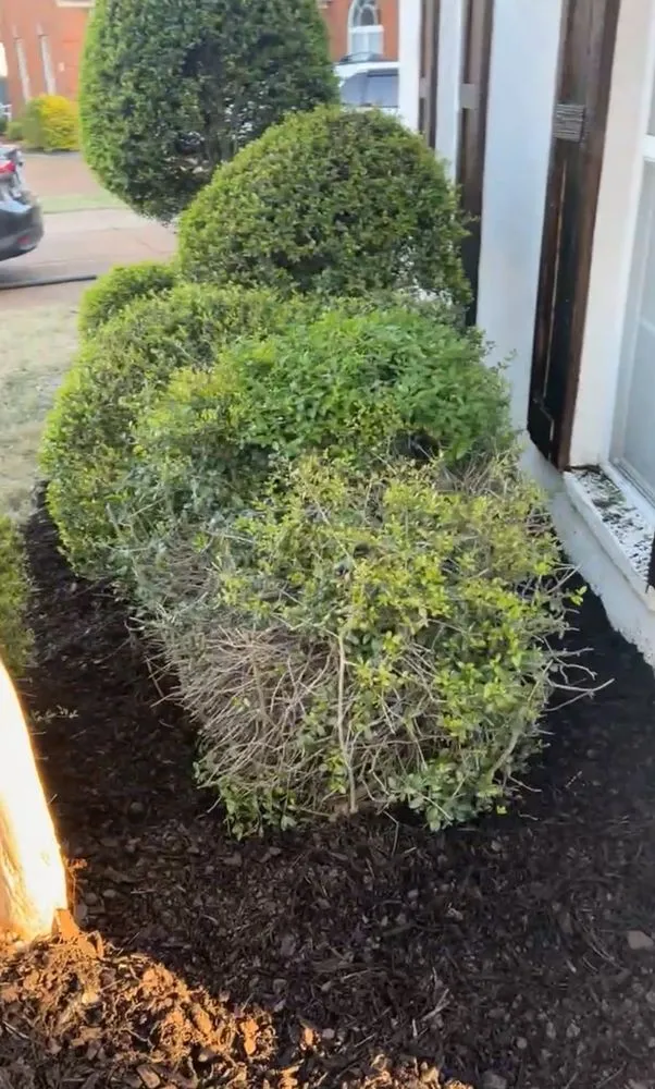 Custom landscaping services experts serving Southaven, MS - L & F Property Solutions