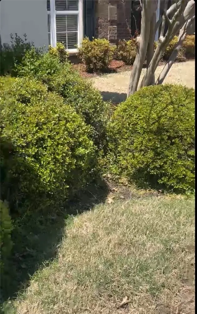 Reliable landscape design in Southaven, MS by L & F Property Solutions