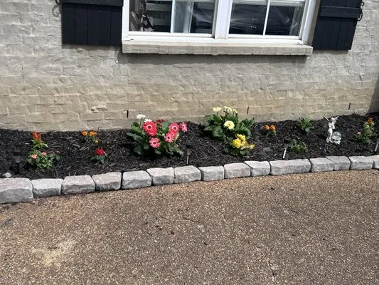 L & F Property Solutions