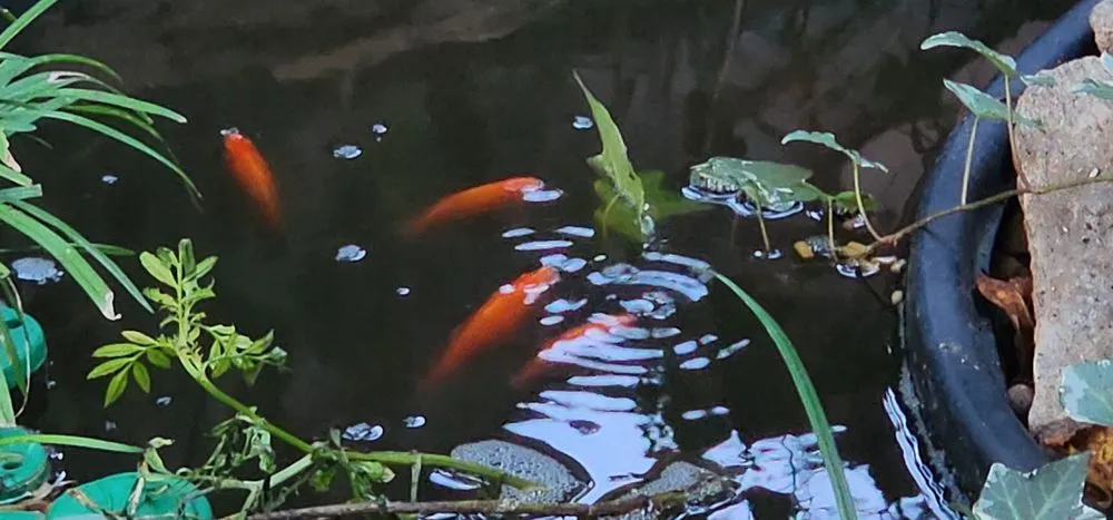 Reliable landscaping services experts serving Richmond, KY - L & H Scaping