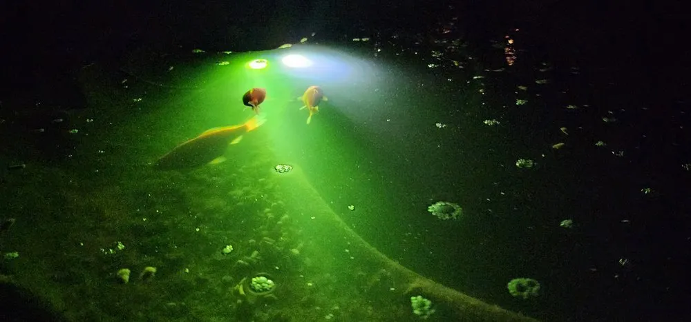 Expert landscape installation for year-round maintenance in Richmond, KY by L & H Scaping